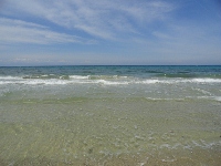 File:DSC01687 (200x150).jpg