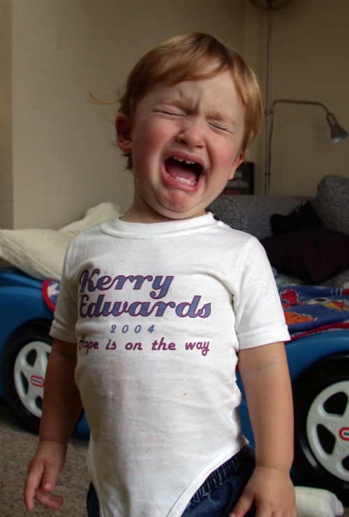 An Alien In The House