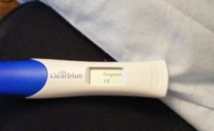 Teresalspregnancy Pics1 023.JPG