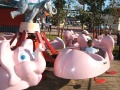Flamingo land 6.jpg